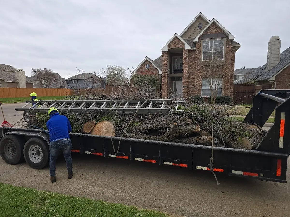 Expert Tree Fertilization with proper safety equipment in Oronogo